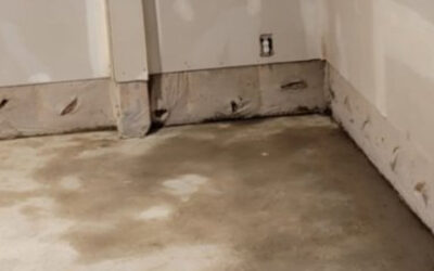 Things You Should Know About Water Damage