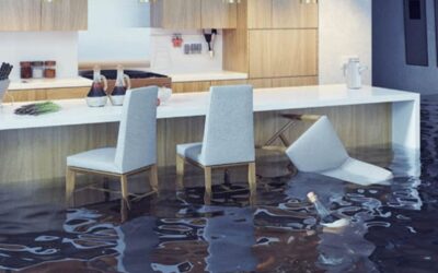 The Do’s and Don’ts After Water Damage