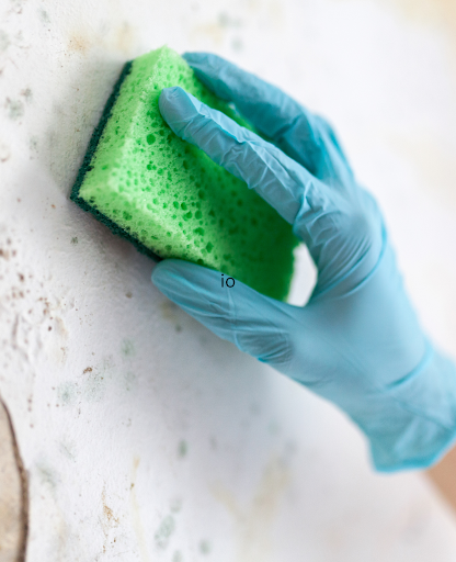 Mold Remediation Contractor New York - A Woman Removing Mold from Wall