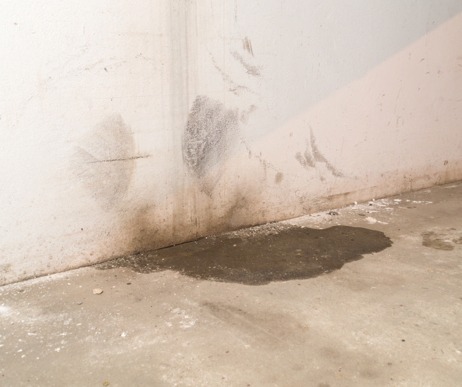 Water Damage Prevention Contractor New York - Water Damage to a Wall