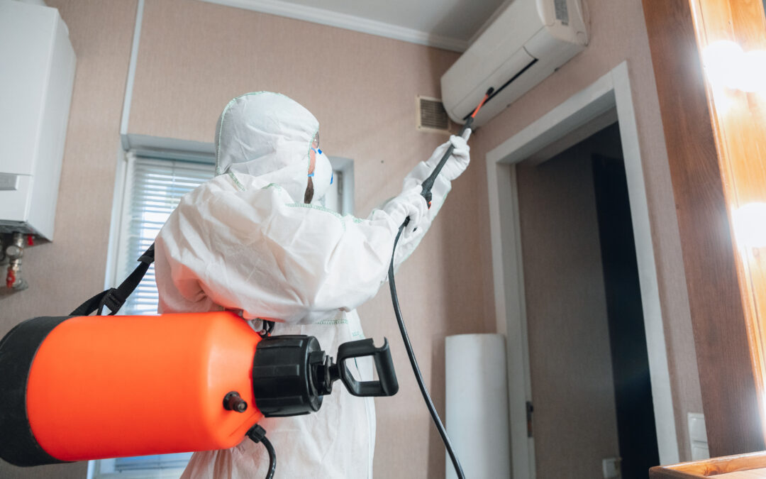The Vital Role of Mold Remediation Services in Long Island