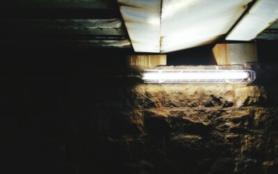 Professional vs. DIY Crawl Space Encapsulation Jobs