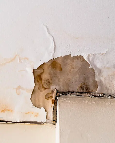 Water Damage Restoration Contractors in Floral Park, NY - Water Damaged Wall