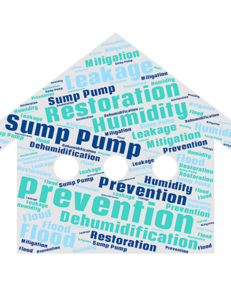 Water Damage Restoration Contractors in Midwood, NY - A Word Cloud in the Shape of a House with Water Damage Prevention Words in it