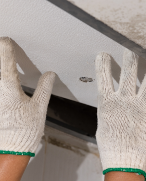 Water Damage Restoration Contractors in Bayside, NY - A Man with Gloves on Replacing a Moldy Ceiling Tile
