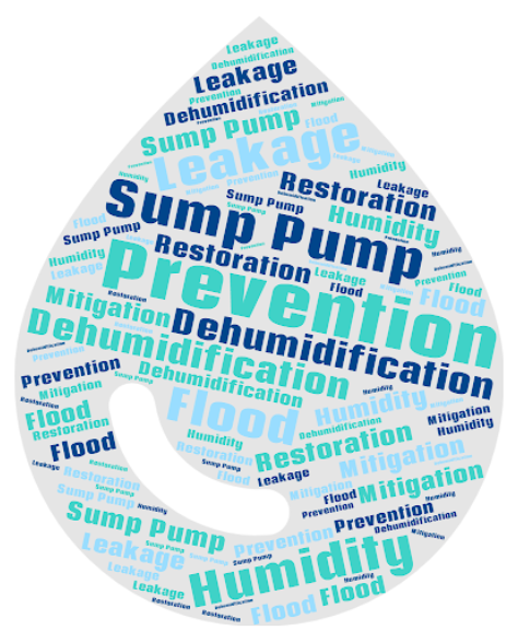 Water Damage Restoration Contractors in Dyker Heights, NY - A Word Cloud with Water Damage and Prevention-Related Keywords in it in Dark Blue, Aqua, and Light Blue<br />
