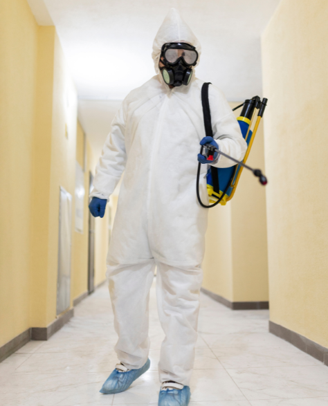 Water Damage Restoration Contractors in Jackson Heights, NY - A Man in a Full Protective White Suit<br />
