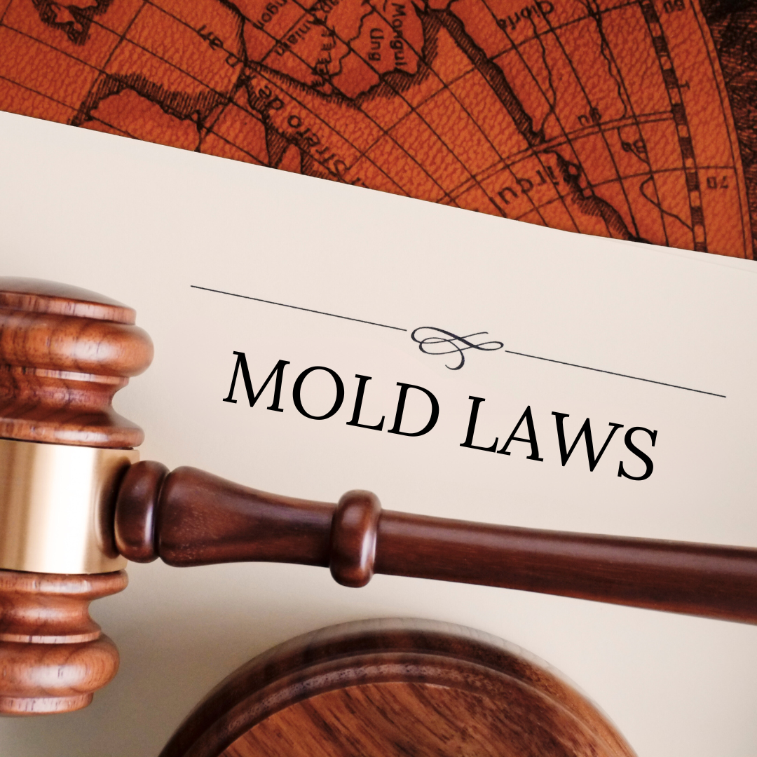 Mold Remediation - Understanding New York Mold Laws