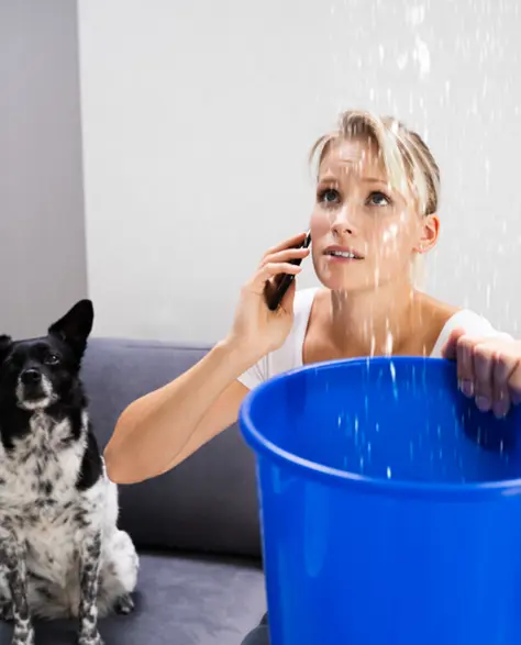 Water Damage Restoration Contractors in Brentwood, NY - A Woman Sitting Next to Her Black and White Dog Holding a Bucket to Catch Water From a Leaky Roof and Talking On the Phone