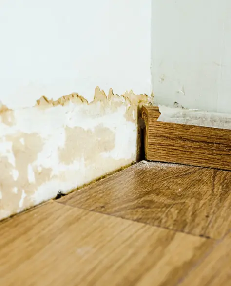 Water Damage Restoration Contractors in Holtsville, NY - Water Damage on Baseboards