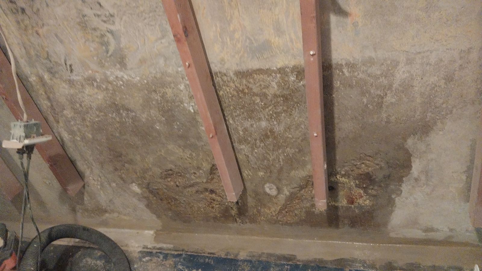 Water Damage Restoration Contractors in Douglaston Little Neck, NY - A Water Damaged Basement Wall with the Sheetrock Cut Back Showing the Waterline from a Flood with Mold and Mildew Growing on the Sheetrock on the Other Side and Studs