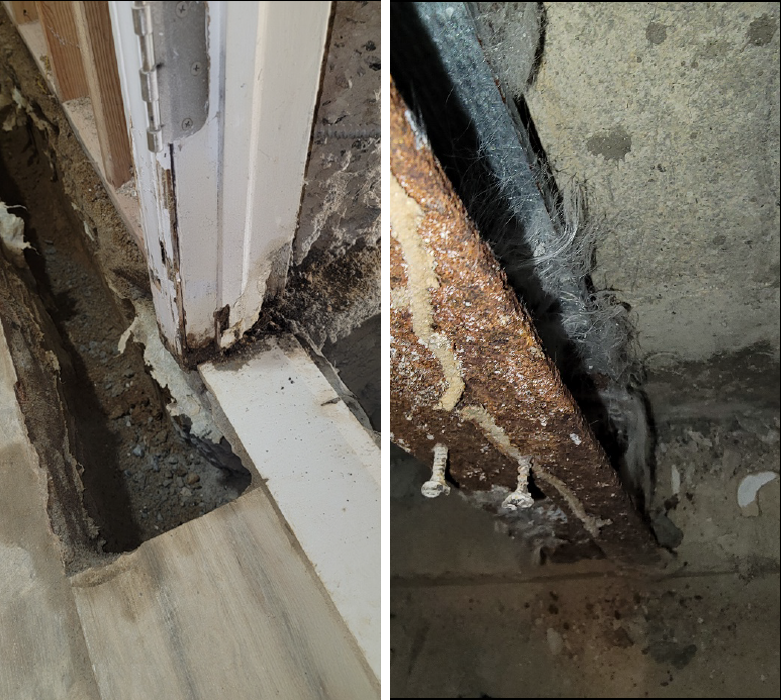 Moisture-related issues including mold