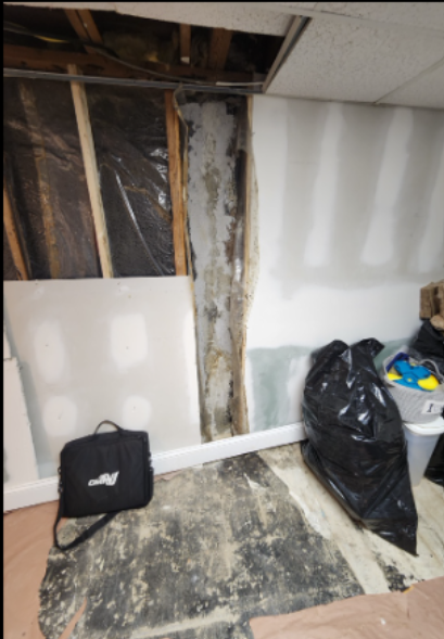 Water intrusion and efflorescence in the walls