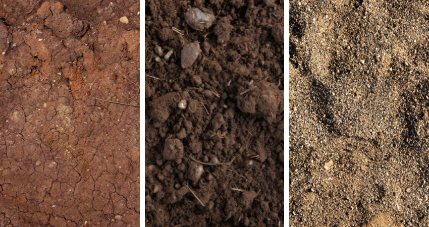 Different types of soil