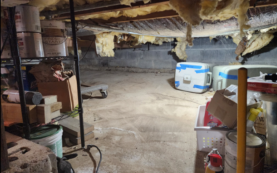 Case Study: Crawl Space Insulation & Mold Remediation in Westhampton, NY