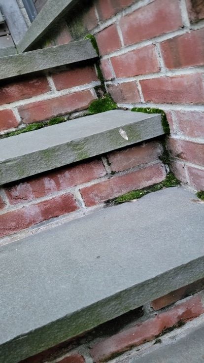 Mold growth in the nooks and crevices of the steps shows the source of the intrusion 