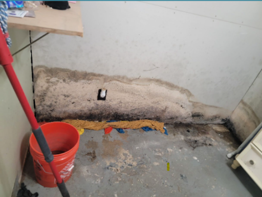 Mold spread in a horizontal sequence on the basement walls in a Brentwood home.