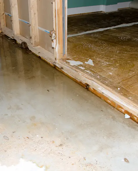 Water Damage Cleaning Contractor New York - A Water Damaged Basement Floor<br />
