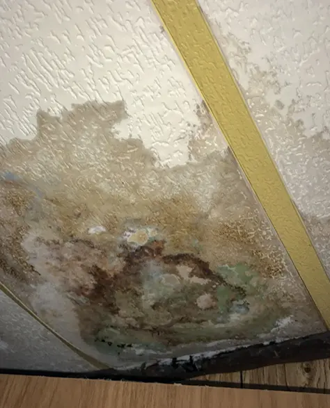 Water Damage Cleaning Contractor New York - Ceiling Suffering from Water Damage<br />
