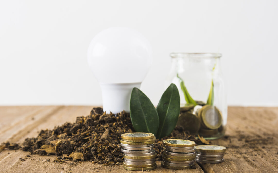 A stack of coins with a light bulb and plants