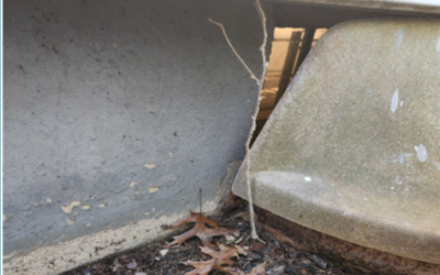 Case Study: Basement Foundation Wall Repair to Address Water Intrusion in Oyster Bay, NY