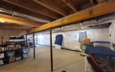 Case Study: Comprehensive Basement Waterproofing, Mold Remediation, and Insulation in Smithtown, NY