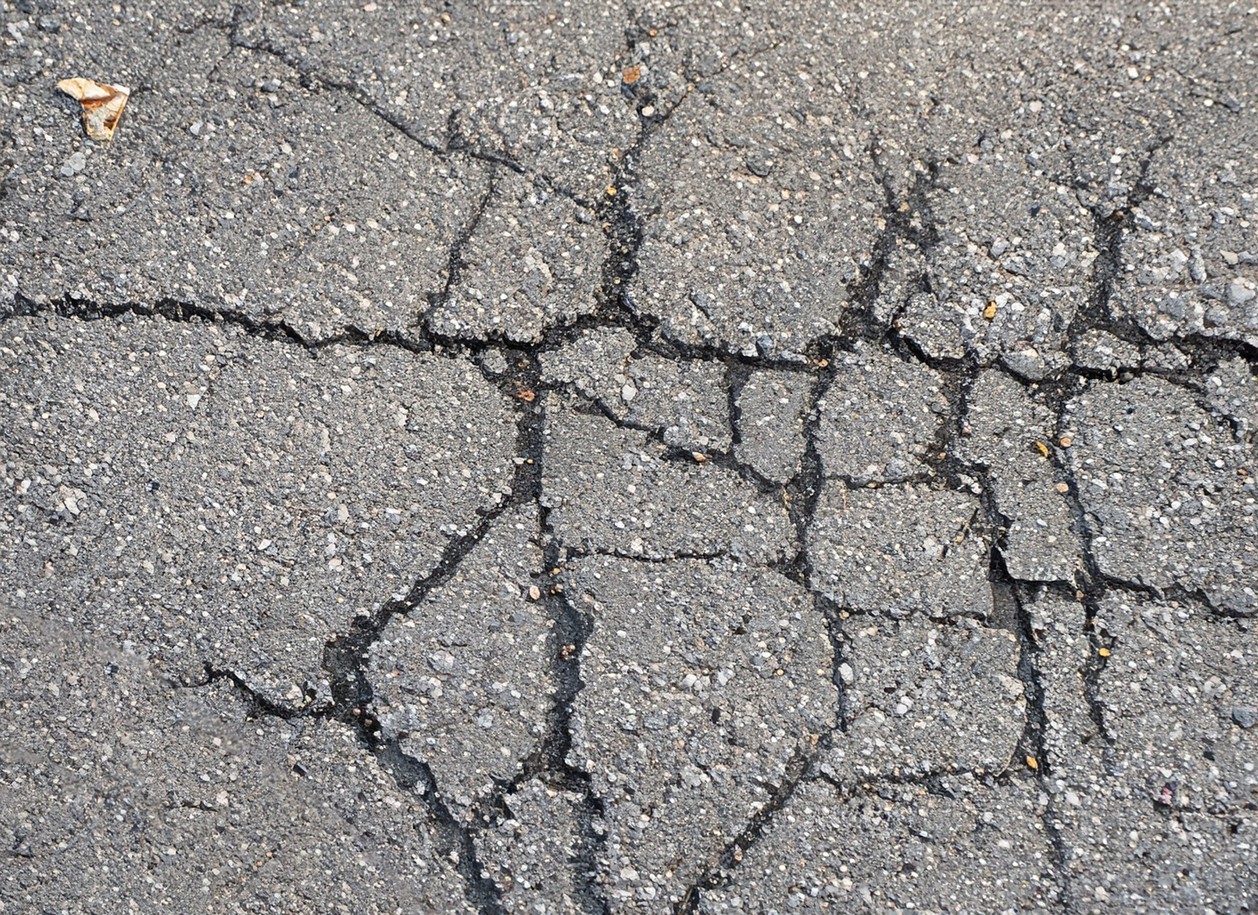 A close up of the alligator cracks on the asphalt road<br />
