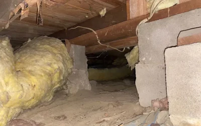 Case Study: Comprehensive Crawl Space Waterproofing and Insulation in Brooklyn, NY