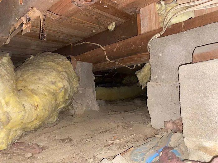 The crawl space in Brooklyn home before removing the old insulation