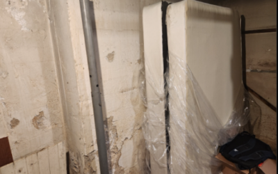 Case Study: Basement Wall Refinishing in Rockville Center, NY