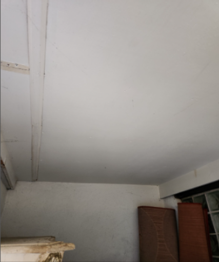 Case Study: Living Room and Foyer Ceiling Insulation in Astoria, NY