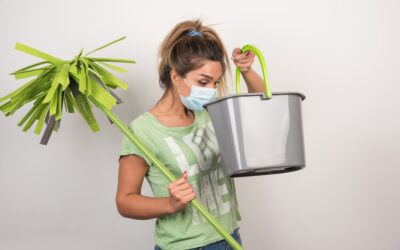 How to Get Rid of Basement Odor: A Comprehensive Guide for Long Island, Brooklyn, and Queens