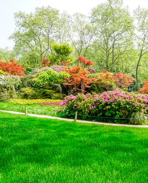 A modern yard of a home benefiting from a repaired and efficient water well