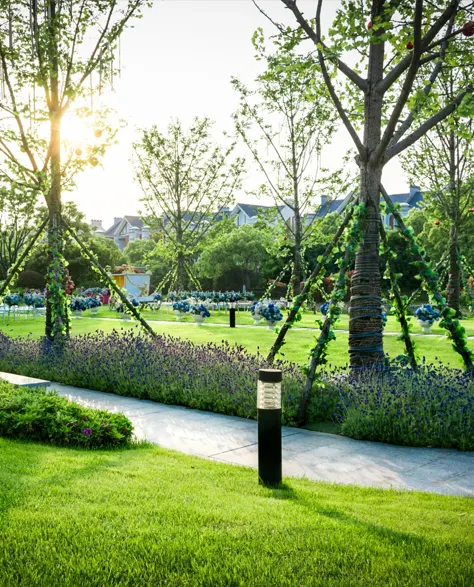 A well-drained front yard with lush greenery.