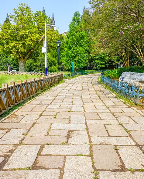 Image of Brick Paver Walkway in a Garden