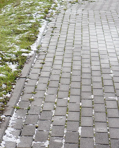 Installed paving along the driveway 