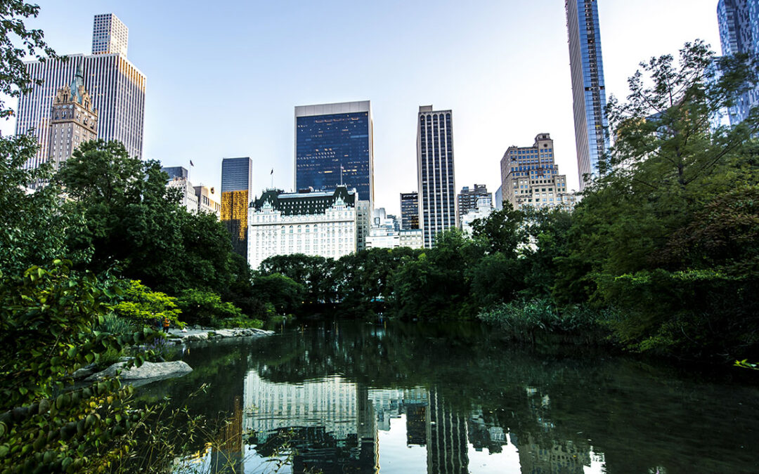 New York properties against the skyline.