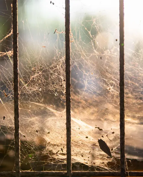 An old cracked window well with cobwebs 