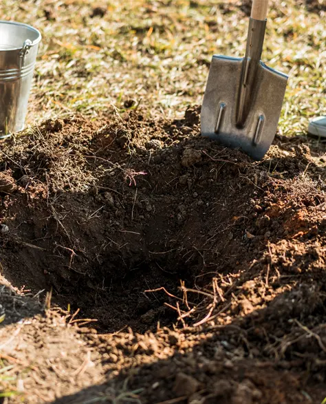 Catch Basin Installation: A contractor digging a hole in the yard for the installation of a catch basin 