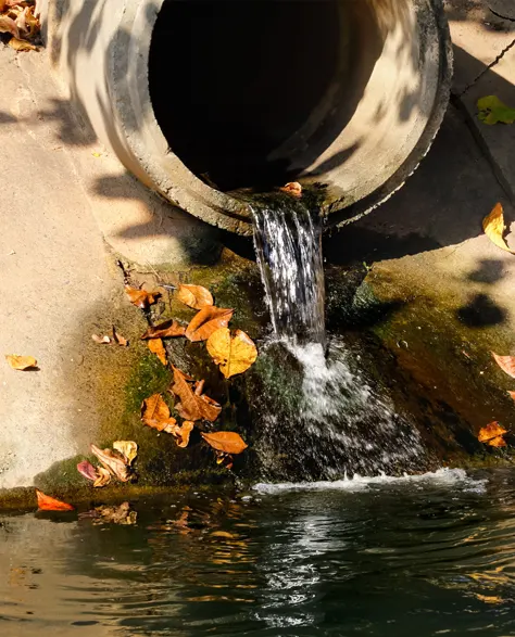 A drain pipe expelling water from a catch basin