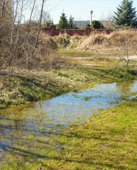 A yard with water puddles because of the absence of yard drainage