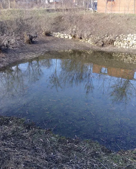 Water that is pooling near the foundation of a property 