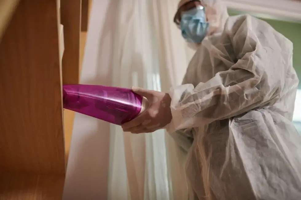Black Mold Removal Services for Brooklyn, Long Island, And Queens