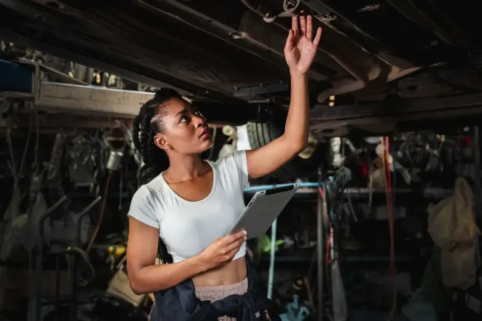 How to Get Rid of Mold in the Attic | Free Quotes in Long Island