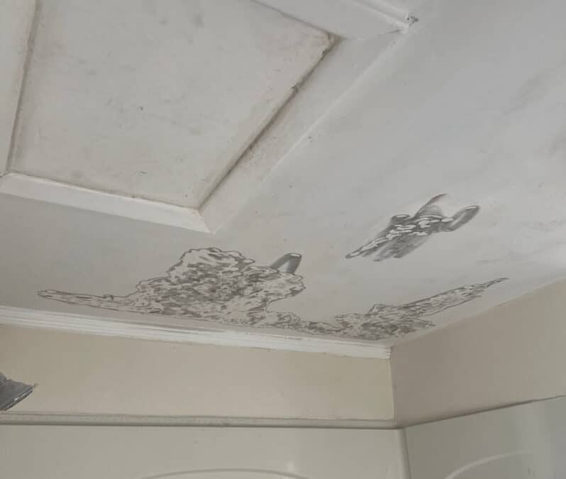 Mold Prevention by Zavza Seal | Full Guide