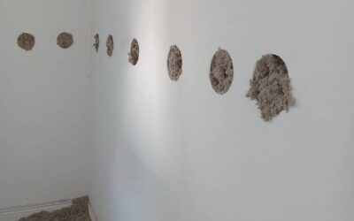 Basement Insulation Options: Full Guide and Comparison