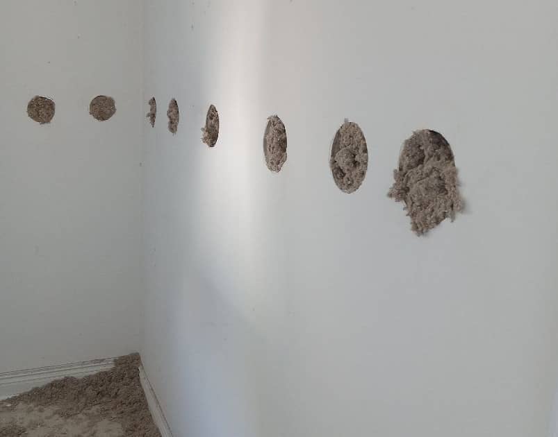 Basement Insulation Options: Full Guide and Comparison