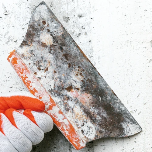 Crawl Space Mold Inspection for Long Island - A Man with Gloves on and a Trowel Pointing to Grey Mold on a Wall