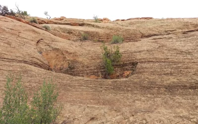 Soil Erosion and Its Impact on Properties in Long Island, Brooklyn, Queens, and the Bronx