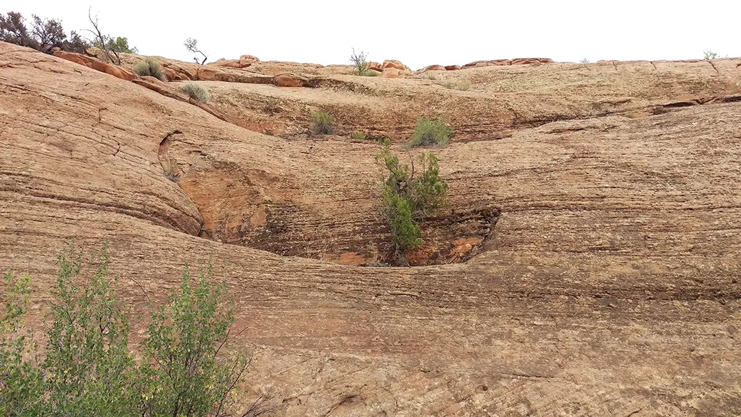 Soil on the field that shows soil erosion